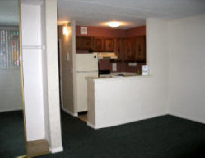 Closet and Kitchenette